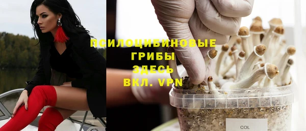 ешки Богородицк