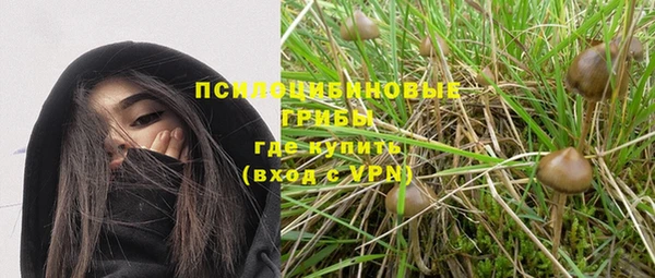 ешки Богородицк