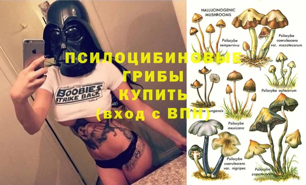 гидра Сосновый Бор