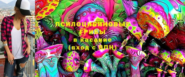 ешки Богородицк