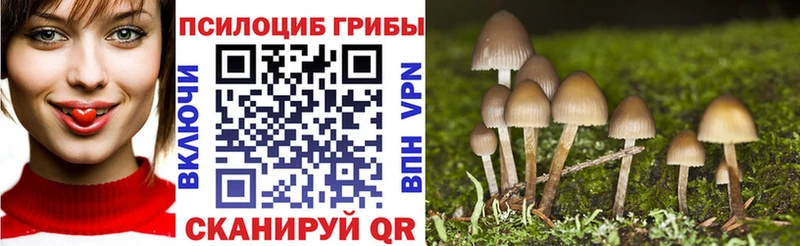 Галлюциногенные грибы Psilocybine cubensis  Купить закладки  Бахчисарай 